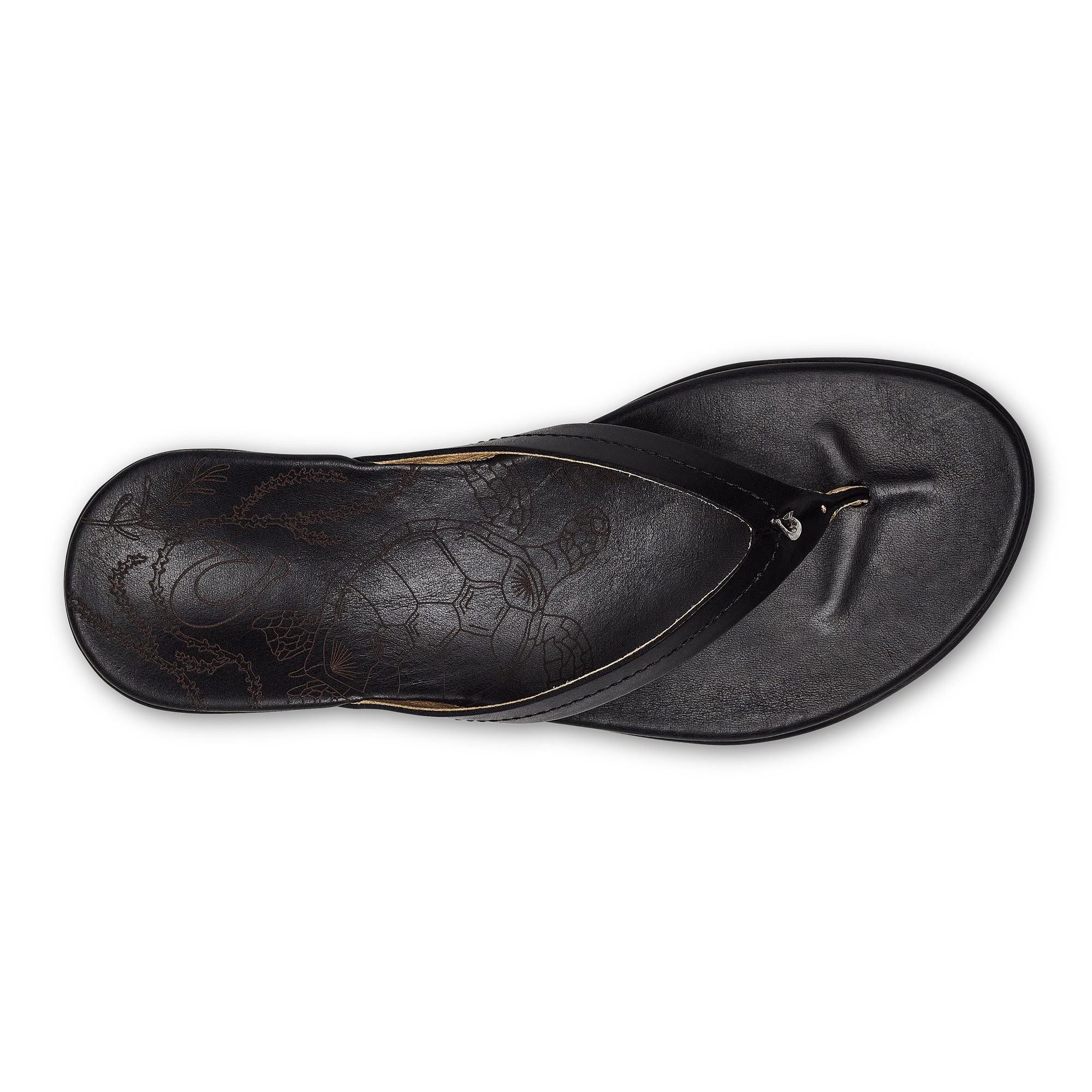 Honu - Black